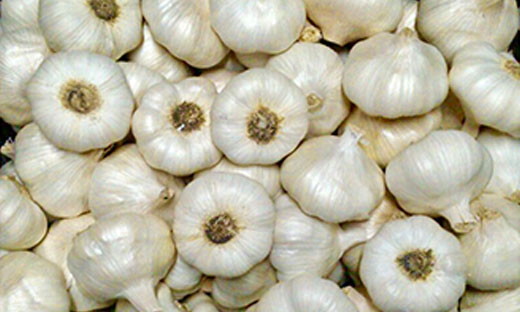Ajo Blanco